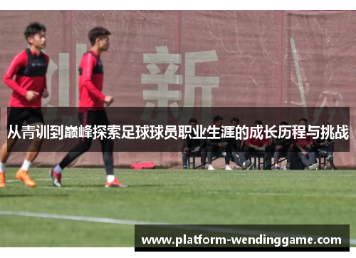 从青训到巅峰探索足球球员职业生涯的成长历程与挑战 从青训到巅峰探索足球球员职业生涯的成长历程与挑战