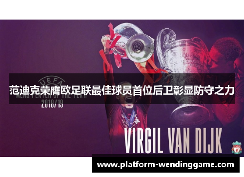 范迪克荣膺欧足联最佳球员首位后卫彰显防守之力 范迪克荣膺欧足联最佳球员首位后卫彰显防守之力