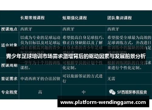青少年足球培训市场需求激增背后的驱动因素与发展前景分析 青少年足球培训市场需求激增背后的驱动因素与发展前景分析