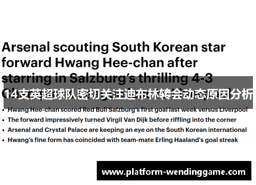 14支英超球队密切关注迪布林转会动态原因分析