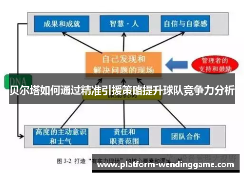 贝尔塔如何通过精准引援策略提升球队竞争力分析