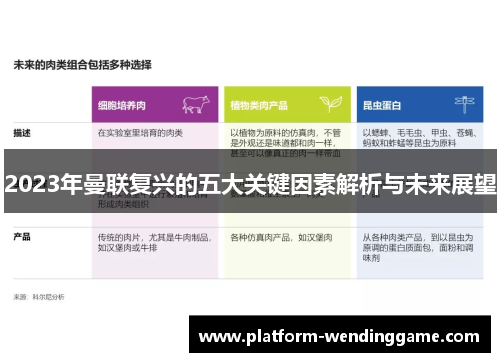 2023年曼联复兴的五大关键因素解析与未来展望 2023年曼联复兴的五大关键因素解析与未来展望