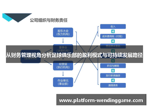 从财务管理视角分析足球俱乐部的盈利模式与可持续发展路径