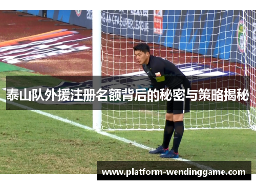 泰山队外援注册名额背后的秘密与策略揭秘 泰山队外援注册名额背后的秘密与策略揭秘