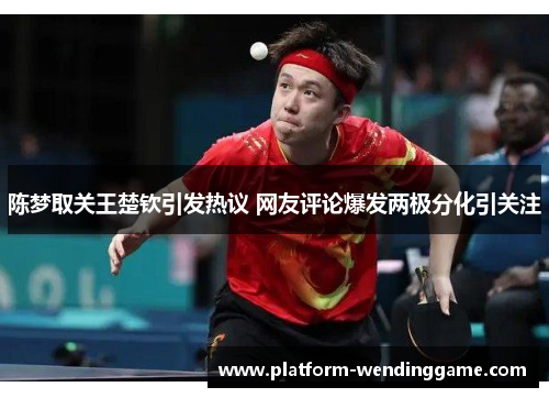 陈梦取关王楚钦引发热议 网友评论爆发两极分化引关注