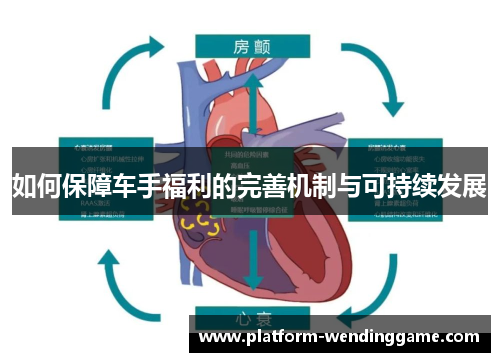 如何保障车手福利的完善机制与可持续发展 如何保障车手福利的完善机制与可持续发展