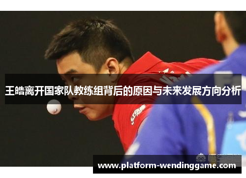 王皓离开国家队教练组背后的原因与未来发展方向分析 王皓离开国家队教练组背后的原因与未来发展方向分析