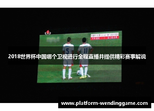 2018世界杯中国哪个卫视进行全程直播并提供精彩赛事解说 2018世界杯中国哪个卫视进行全程直播并提供精彩赛事解说