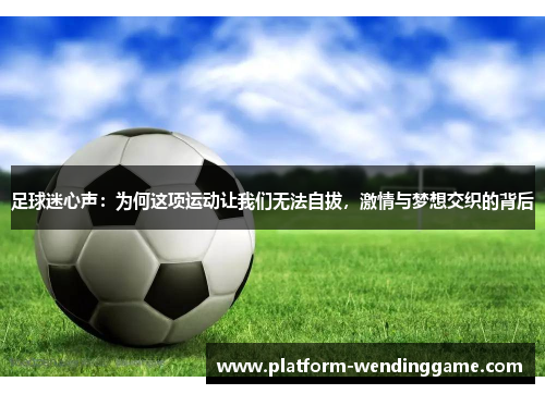 足球迷心声:为何这项运动让我们无法自拔,激情与梦想交织的背后 足球迷心声:为何这项运动让我们无法自拔,激情与梦想交织的背后