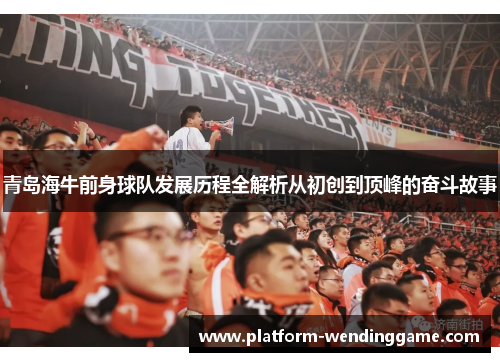 青岛海牛前身球队发展历程全解析从初创到顶峰的奋斗故事 青岛海牛前身球队发展历程全解析从初创到顶峰的奋斗故事