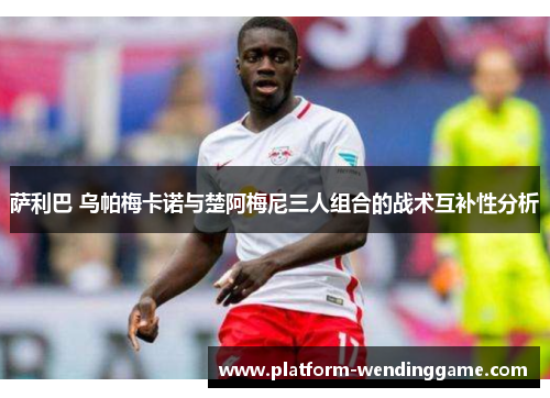 萨利巴 乌帕梅卡诺与楚阿梅尼三人组合的战术互补性分析 萨利巴 乌帕梅卡诺与楚阿梅尼三人组合的战术互补性分析