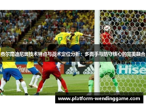 费尔南迪尼奥技术特点与战术定位分析：多面手与防守核心的完美融合