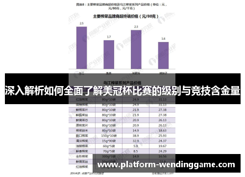深入解析如何全面了解美冠杯比赛的级别与竞技含金量 深入解析如何全面了解美冠杯比赛的级别与竞技含金量