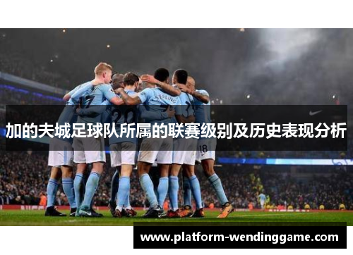 加的夫城足球队所属的联赛级别及历史表现分析
