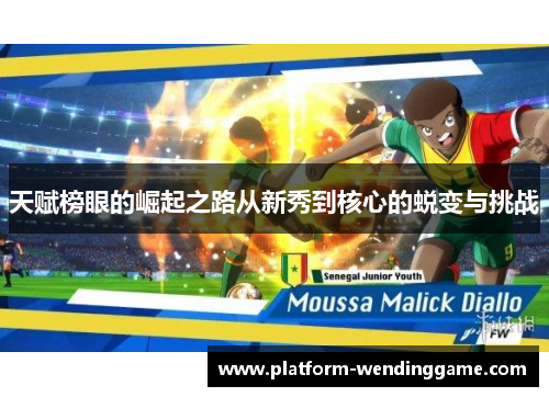 天赋榜眼的崛起之路从新秀到核心的蜕变与挑战