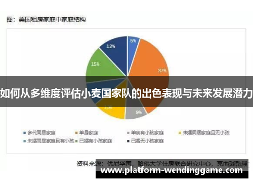 如何从多维度评估小麦国家队的出色表现与未来发展潜力