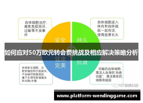 如何应对50万欧元转会费挑战及相应解决策略分析 如何应对50万欧元转会费挑战及相应解决策略分析