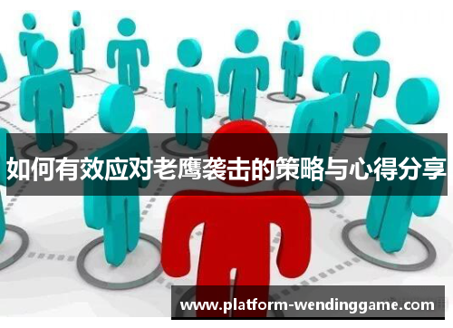 如何有效应对老鹰袭击的策略与心得分享 如何有效应对老鹰袭击的策略与心得分享