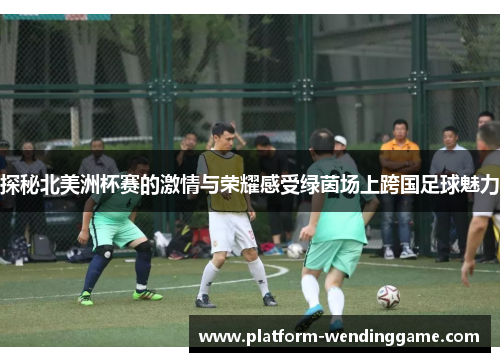 探秘北美洲杯赛的激情与荣耀感受绿茵场上跨国足球魅力