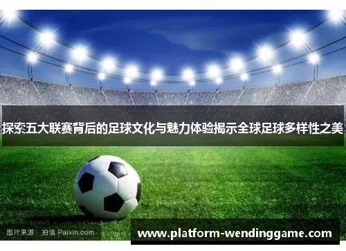 探索五大联赛背后的足球文化与魅力体验揭示全球足球多样性之美